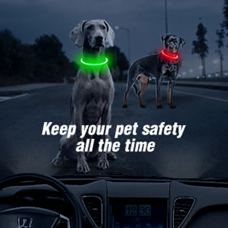 Led Light Dog Collar Detachable Glowing USB Charging